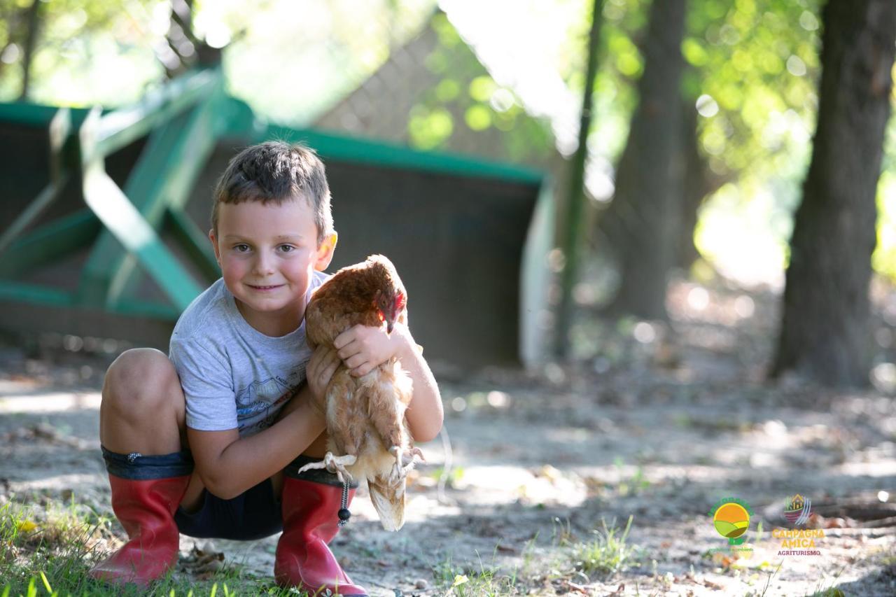 Agriturismo Ai Carpini Villa Marcon Kültér fotó