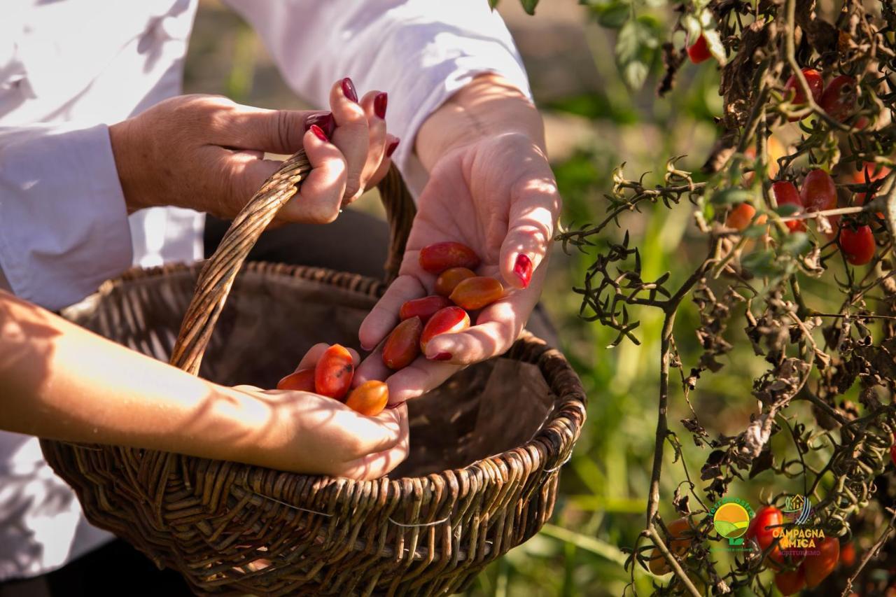 Agriturismo Ai Carpini Villa Marcon Kültér fotó