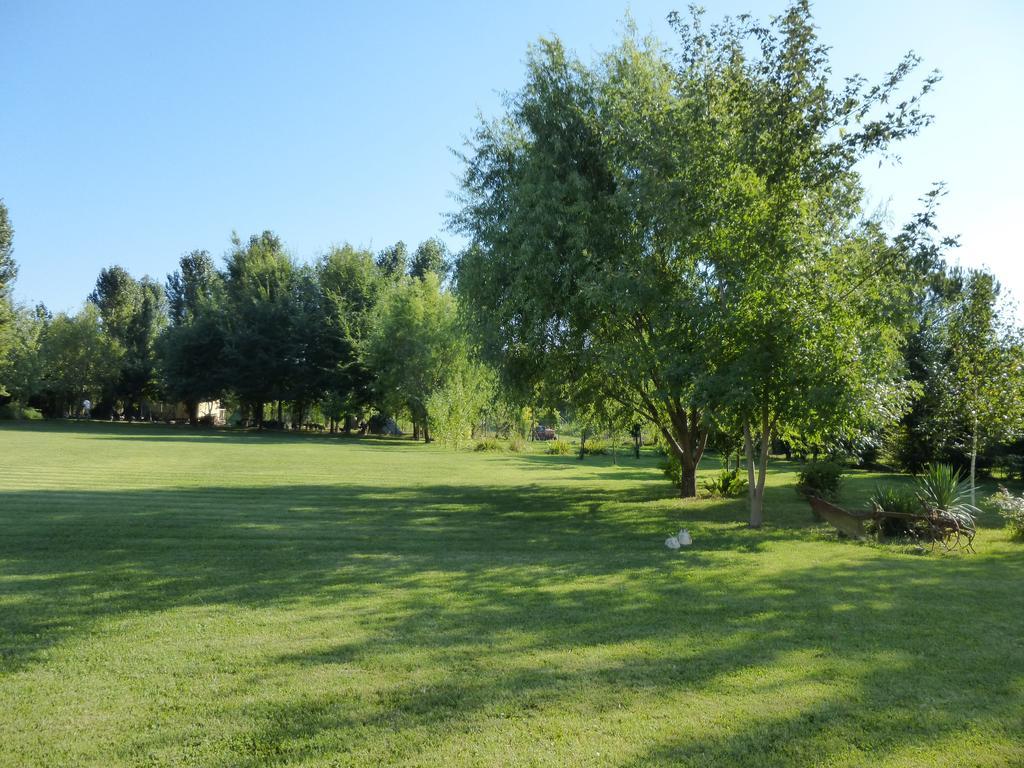 Agriturismo Ai Carpini Villa Marcon Kültér fotó